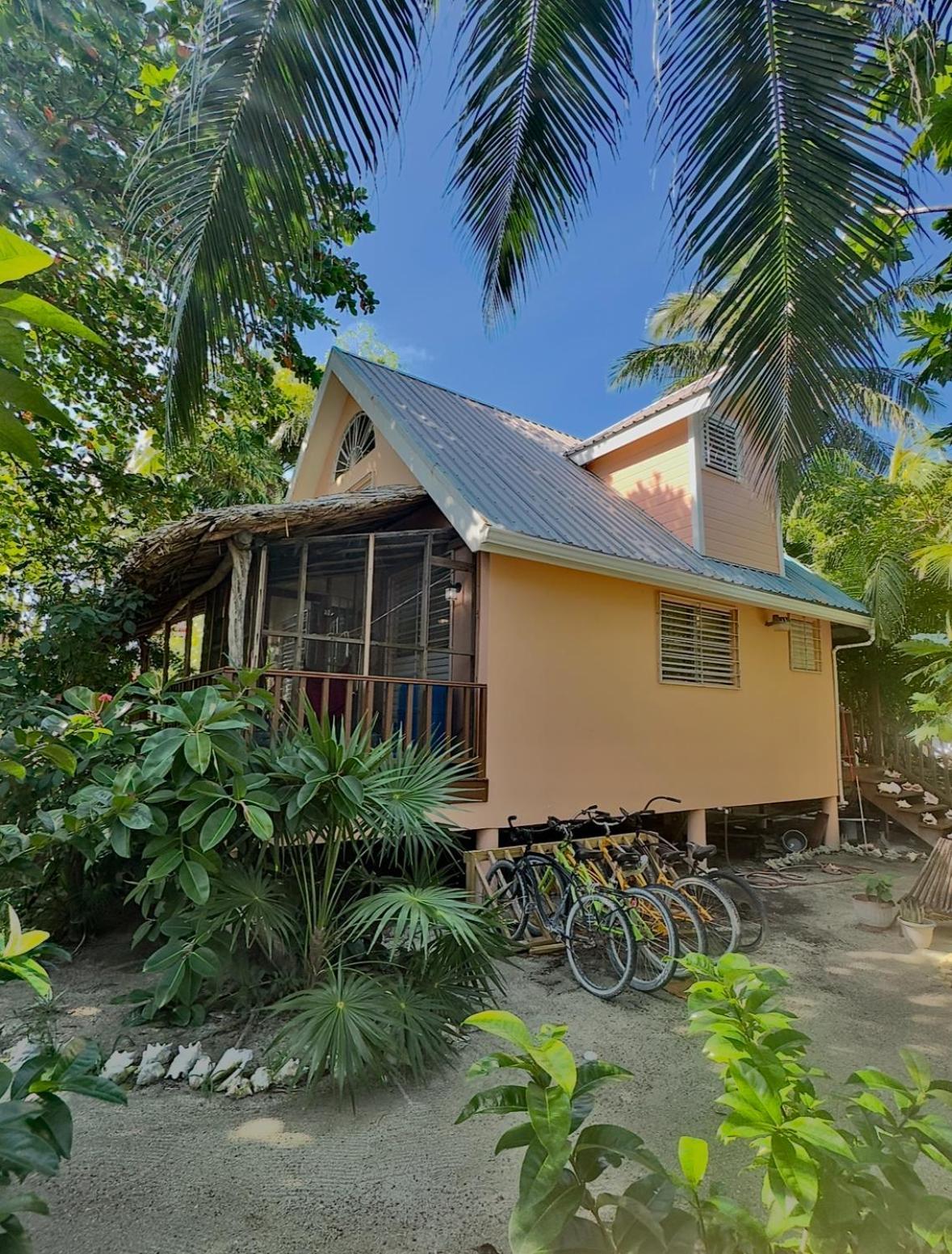 The Coral Casa Villa Caye Caulker Eksteriør billede